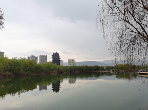 蘭州銀灘黃河濕地公園。新甘肅·甘肅日報記者杜雪琴攝.jpg